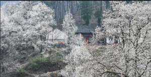 千年风雨石拱寺